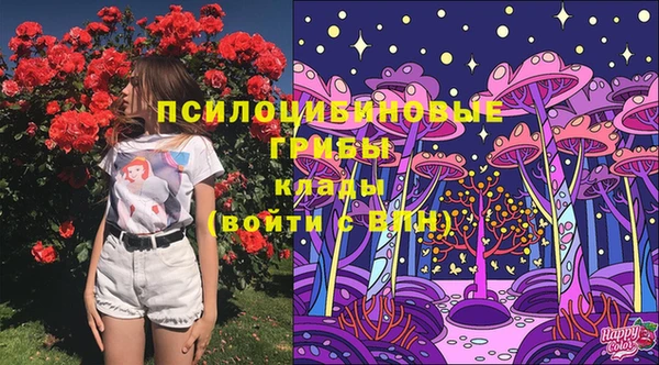 стаф Алексеевка